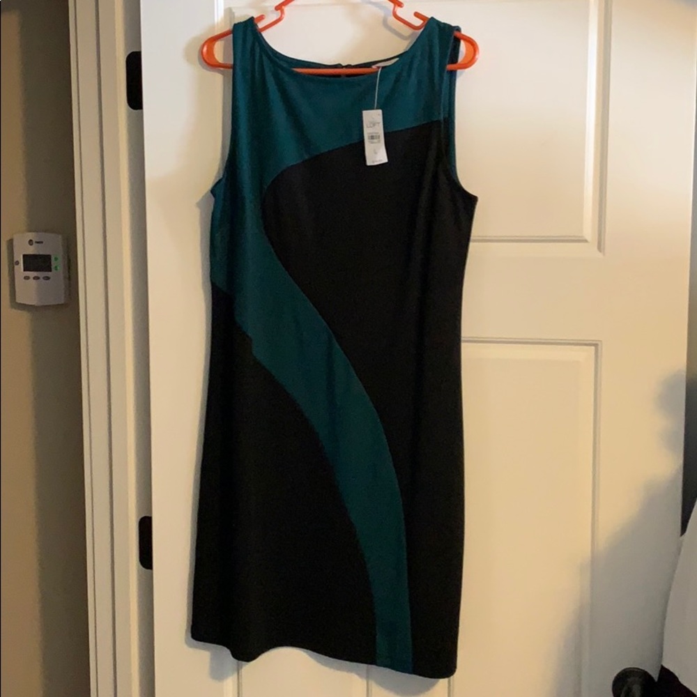 NWT dress from ann Taylor loft. Size large